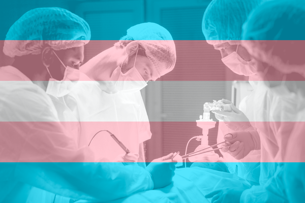 Medical Bureaucracy: Failing  to Meet the Needs of Transgender Patients