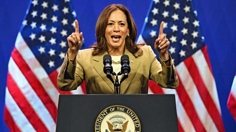 Gay Twitter Serves Up Endless Kamala Harris 'Coconut Tree' Meme Remixes 