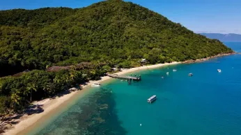 Queer in the Tropics: Why Cairns Is Australia’s Next Quietly Thriving LGBTQ+ Escape